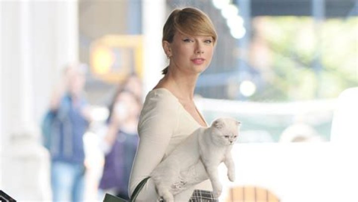 Celebrity Photos Of Stars With Their Cats – Hollywood Life