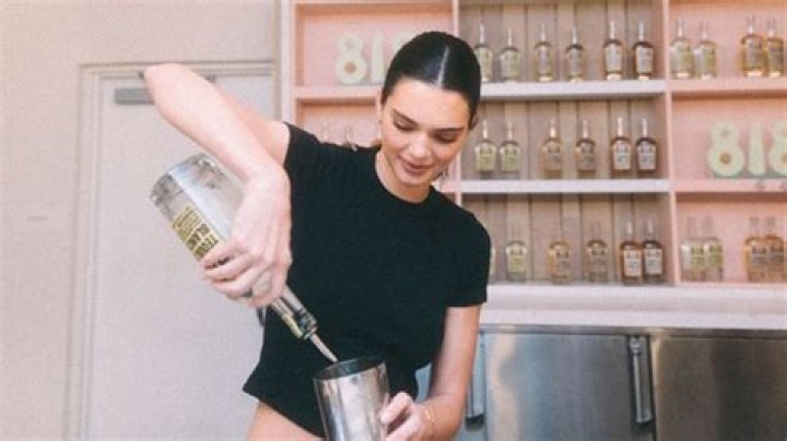 Kendall Jenner Shakes Up A Cocktail In A Crop Top & Mini Skirt At Miami Party — Watch