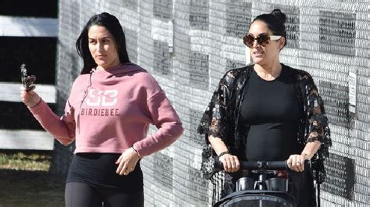 Nikki & Brie Bella Reveal How They’re Motivating Each Other To Stay In Shape During Pregnancy