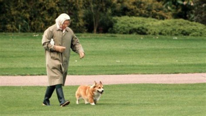 Prince William Confirms Queen Elizabeth’s Corgis Are ‘Going To Be Looked After’