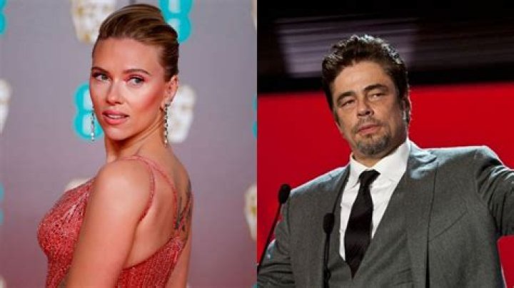 Scarlett Johansson Talks Benicio Del Toro Elevator Sex Rumor – Hollywood Life